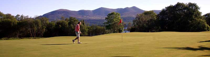 Brian Clarke, another birdie for the big fella otherwise known as Ma Dog, or the Mad fellow !! Clarkie was haunted to get this birdie