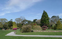 Muckross Gardins