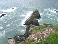 Dunquin Pier, at Slea Head dingle
