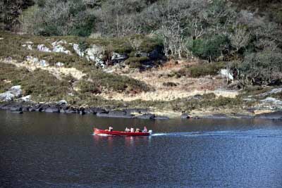 Boat tours Upper lake Killarney