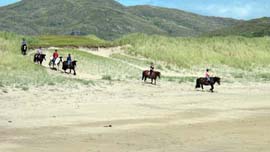 Horse Riding Tours in Killarney