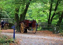 Horse Cart Tours Killarney