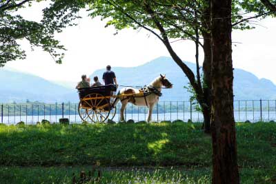 Kids Jaunting car ride