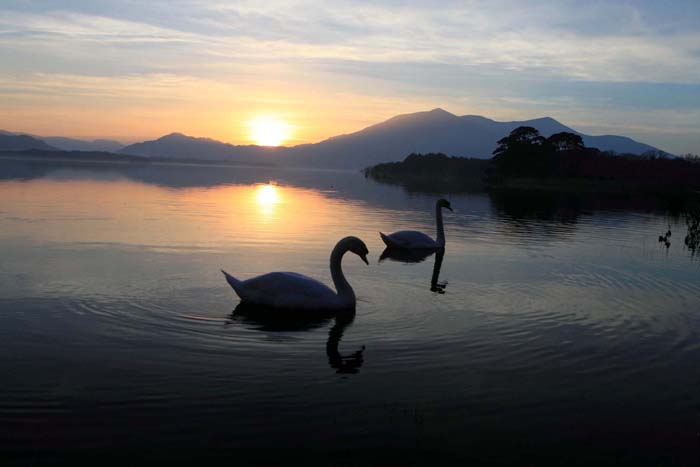 Killarney Sunsets