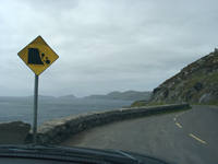 Touring dingle, ireland.