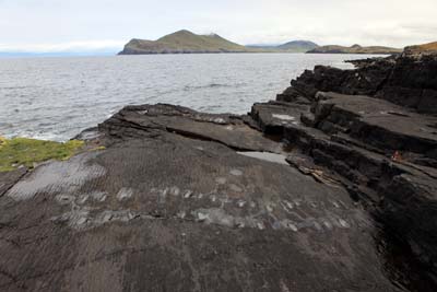 Valentia tetrapod Footsteps