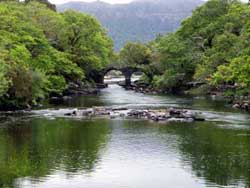 Walking Tours in Killarney