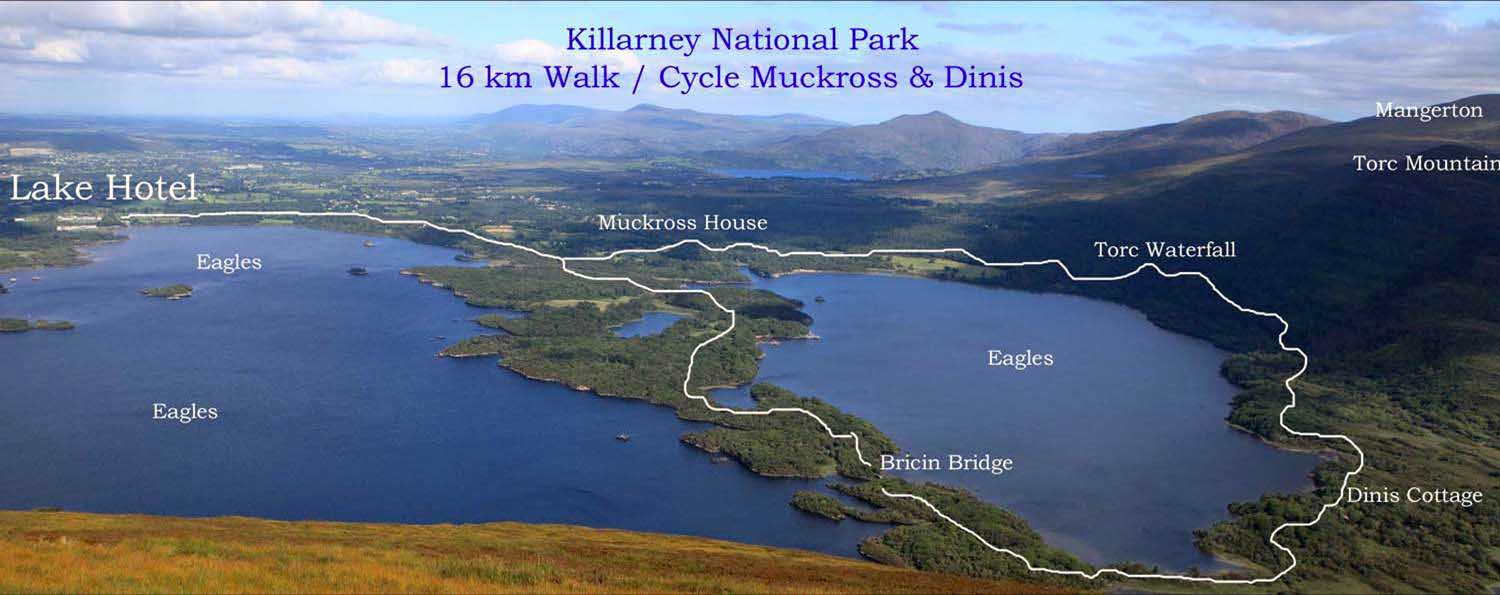 Walking in Killarney