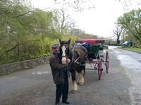 Billy Tngney with horse n Buggy