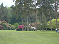 Gardens in May