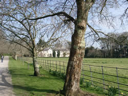 Killarney House