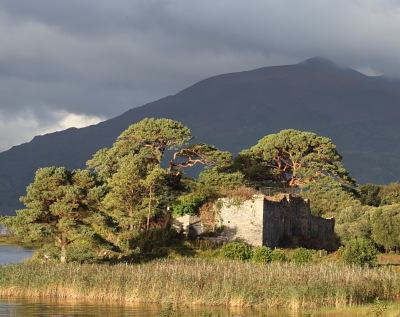 McCarthy's Castle