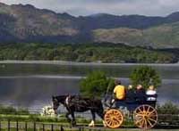 Jaunting Cars in Killarney National park