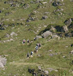 walking the irish mountains