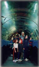 Ocean World Dingle