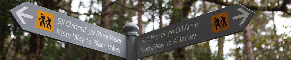 Activities in Killarney