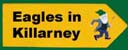 Eagles in Killarney