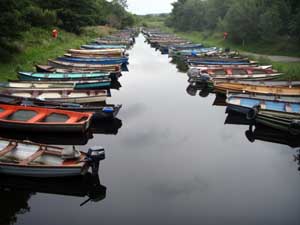 Fishing in Killarney