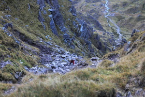 Highest Mountains