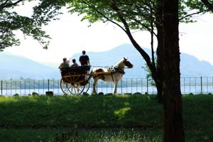Killarney jaunting car
