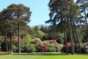 Muckross House Walks