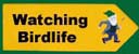 Birdwatching in Killarney and kerry