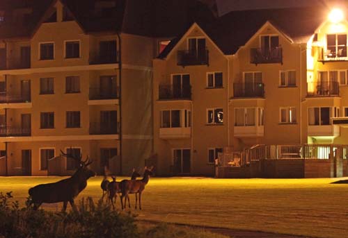 Stay in Killarney