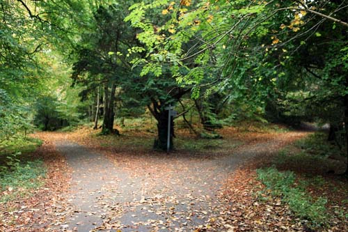 Walking Trails Killarney