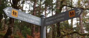 Killarney Walks