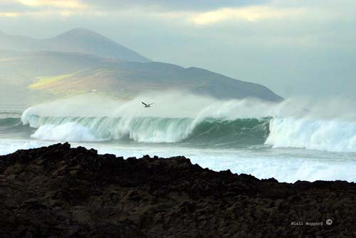 Surfing Kerry