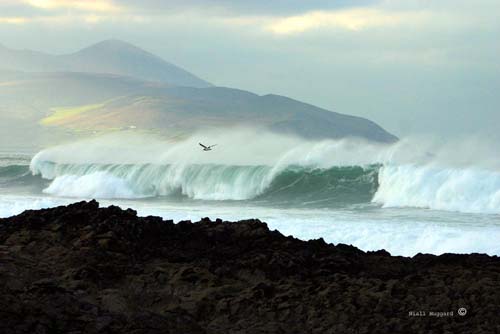 Surfing Kerry