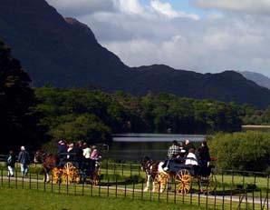 Killarney Jaunting Car