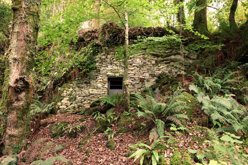 Killarney mining hut