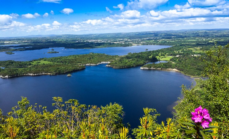 Top things to do in Killarney