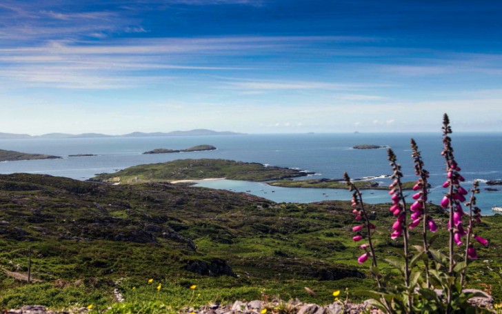 Killarney & the Ring of Kerry News