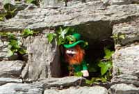 Seamus Irish Leprachaun