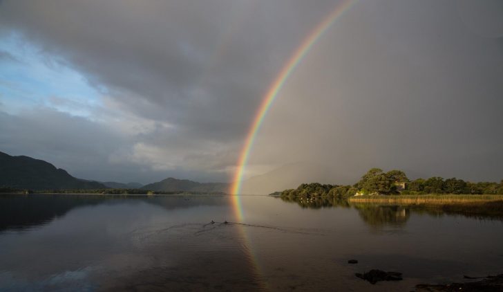 Killarney Web Cam