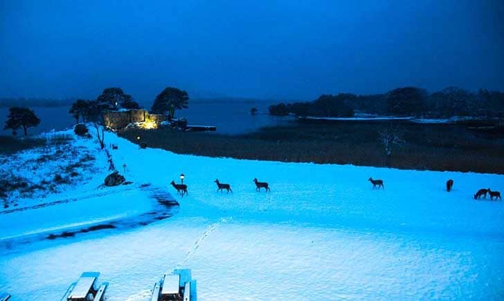 Snow in Killarney 2018